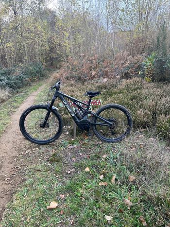 Specialized, Turbo Levo 2025