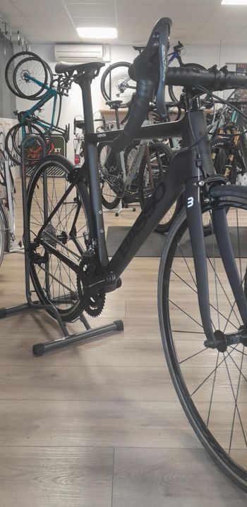 Basso, Venta Rim Campagnolo Centaur 2024