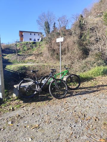 Brugt Canyon Exceed CF 7 2021 2021 MTB