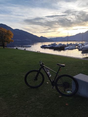 Used Canyon Exceed CF 7 2021 2021 Mountainbike, Black, 29 — image 2 of 3