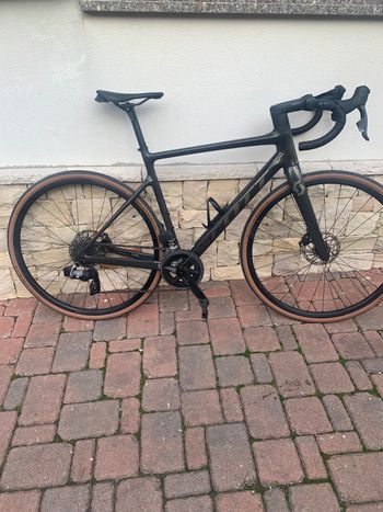 Scott, Addict 10 2024