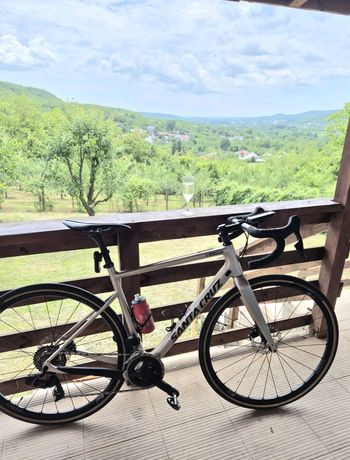 Used Santa Cruz STIGMATA Rival 2x AXS / Carbon CC 2023 2023 Road & Gravel, Light Gray — image 15 of 16
