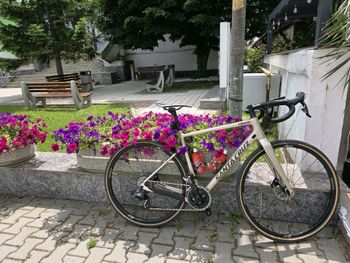 Used Santa Cruz STIGMATA Rival 2x AXS / Carbon CC 2023 2023 Road & Gravel, Light Gray — image 16 of 16