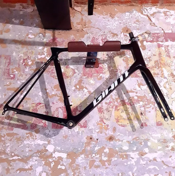 Gebrauchtes Giant TCR Advanced Disc 0 2022 Frameset 2022 Road & Gravel
