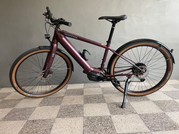 Kona, Dew-E DL 2022