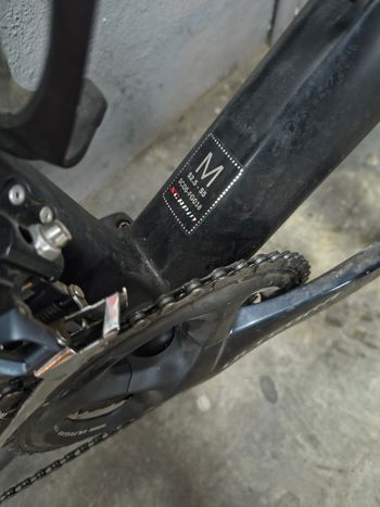 Used SCAPIN Scapin Ivor 2020 Road & Gravel — image 6 of 7
