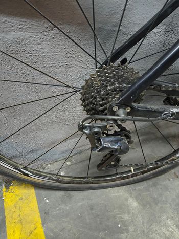 Used SCAPIN Scapin Ivor 2020 Road & Gravel — image 5 of 7