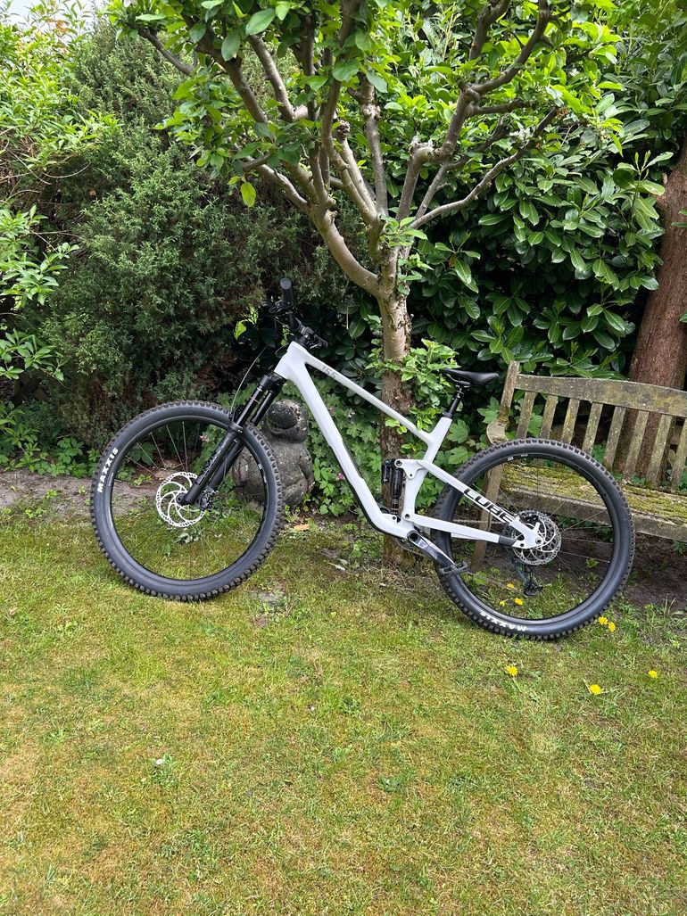 Cube STEREO ONE55 C:62, RACE 29 2024