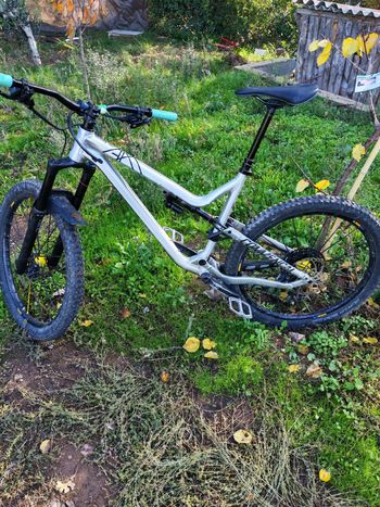 Cadre VTT Commencal Meta SX 50 Cm Enduro - Avec Amortisseur Fox, Taille 19,5