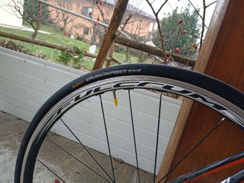 Used Frugeri Noara 2016 Road & Gravel, Orange — image 7 of 7