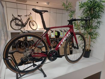 Trek, Madone SL 6 Gen 8 2025