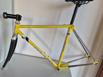 Olmo Sintex + Wheels and accessories 1990 Road & Gravel d'occasion — image 1 sur 14