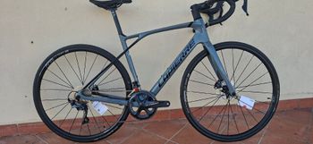 Lapierre, Pulsium 6.0 2023