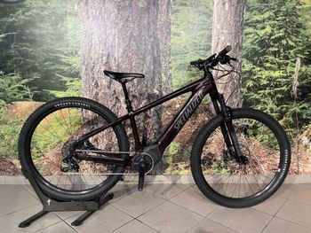 Specialized, Turbo Tero 5.0 2023