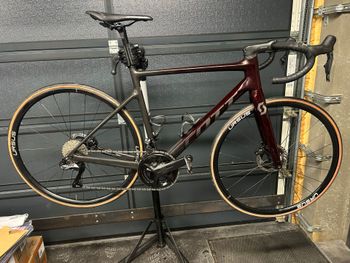 Scott, Addict SE 2024