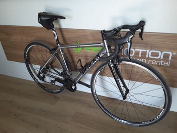 Used Eddy Merckx Blockhaus 67 2017 Road & Gravel, Light Gray — image 2 of 8
