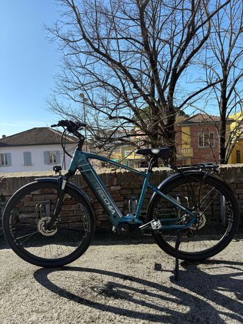 Used Bottecchia Be24 Cambridge 2026 Urban, Grün — image 2 of 5