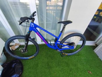 Santa Cruz, Tallboy S / Carbon C 2024