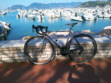 Tweedehands Daccordi NEW GRIFFE 2024 Road & Gravel