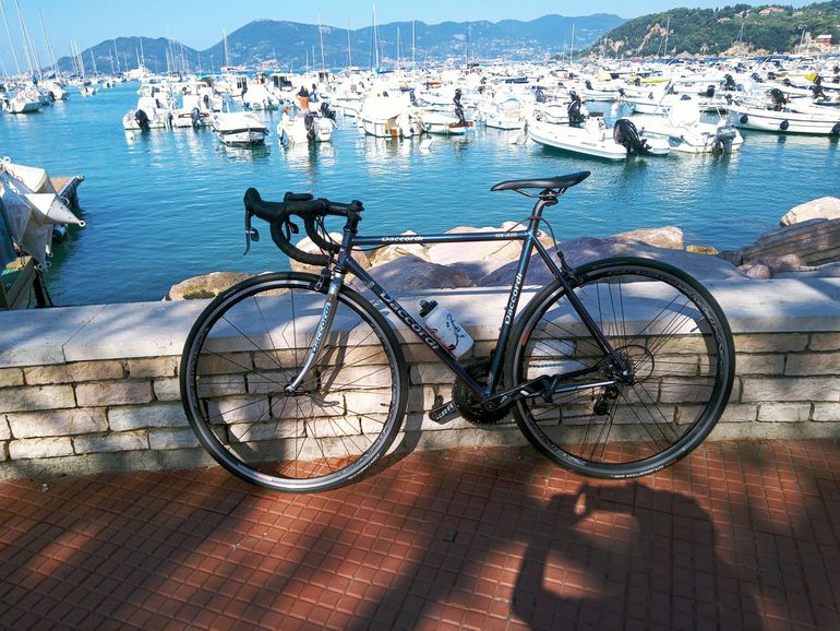 Used Daccordi NEW GRIFFE 2024 Road & Gravel, Purple — image 15 of 15