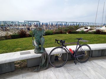 Used Daccordi NEW GRIFFE 2024 Road & Gravel, Purple — image 15 of 15