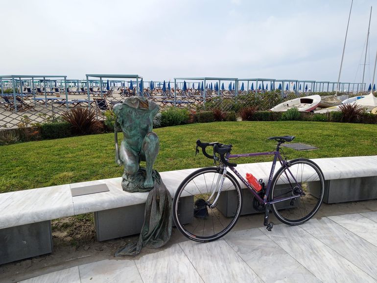 Used Daccordi NEW GRIFFE 2024 Road & Gravel, Purple — image 14 of 15