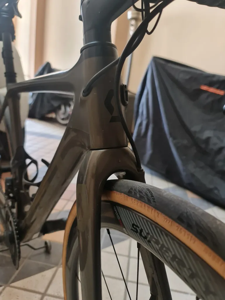 Scott addict premium sales 2019