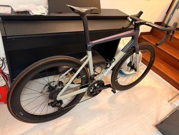 Rose, Rose X06 Lite 2025
