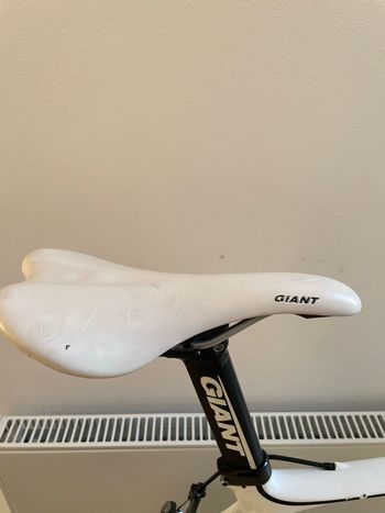 Used Giant TCR Advanced 1 2013 2013 Road & Gravel, White — image 9 of 21