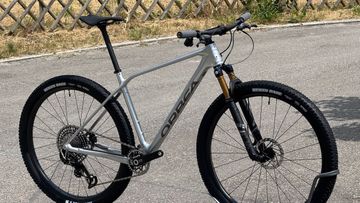 Gebrauchtes Orbea ALMA M LTD 2024 2024 Mountainbike, Hellgrau, 29 — Bild 9 von 20