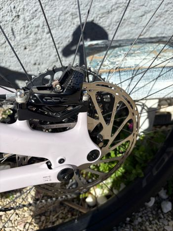 Used Specialized Turbo Levo Carbon Ltd Lll 2024 Mountainbike — image 12 of 17
