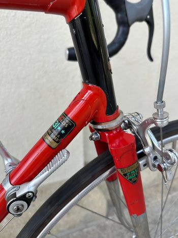Raleigh Team Reynolds 531 SunTour Campagolo OMAS Brooks 1977 Road & Gravel usato