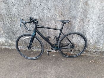 Marin, Gestalt 2 2022