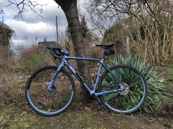 Used Rondo CF2 2X 2021 Road & Gravel