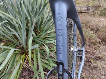 Used Rondo CF2 2X 2021 Road & Gravel — image 7 of 23