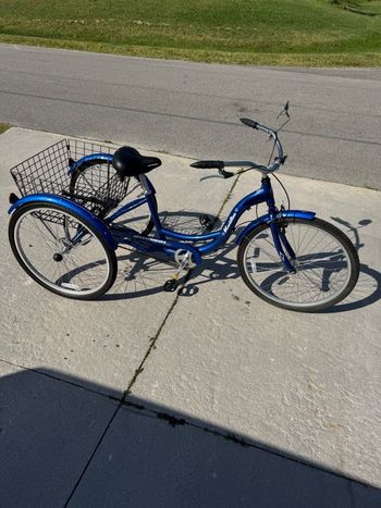 Schwinn, Sting-Ray 2019