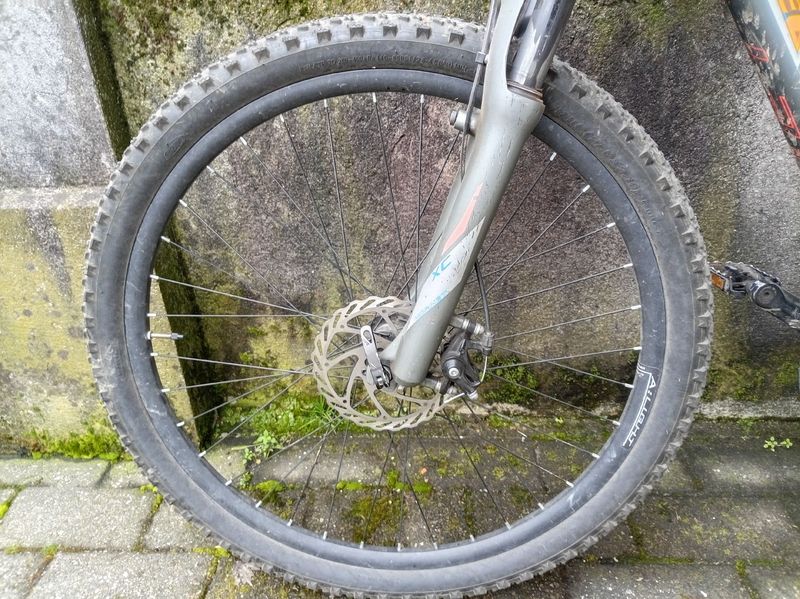 Used Eclipse Hornet 2019 Mountainbike, Light Gray — image 12 of 12