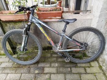 Used Eclipse Hornet 2019 MTB