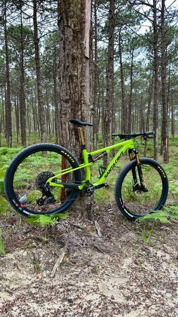 Santa Cruz, Blur X0 AXS Trail RSV / Carbon CC 2024