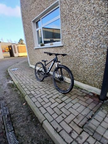 Trek, Marlin 5 2020