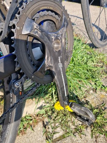 Used Rose Xeon Team CGF 2016 Road & Gravel, Blue — image 2 of 16