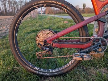 Used Canyon Spectral 125 AL 6 2023 2023 Mountainbike, Arancione — image 10 of 14