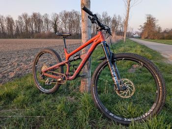 Used Canyon Spectral 125 AL 6 2023 2023 Mountainbike, Arancione — image 9 of 14
