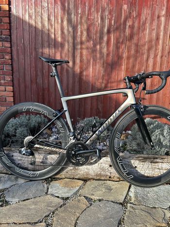 Used Specialized Specialized S-Works Tarmac SL6 – Sagan Superstar Edition (Top Stav) 2017 Road & Gravel, Green — image 9 of 9