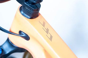Tweedehands Canyon Strive CFR 2022 2022 Mountainbike — afbeelding 12 van 13