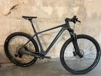 Berria, BRAVO 7 ANTHRACITE LTD