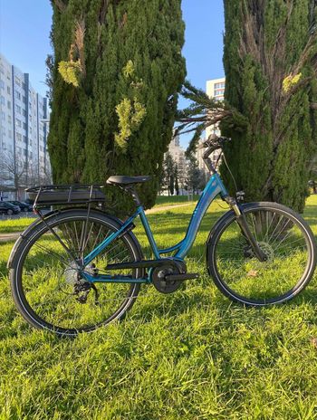 Stevens, E-Molveno Forma 2025