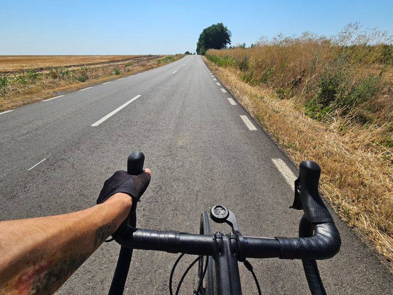 Used Giant TCR Advanced Disc 2 Pro Compact 2022 2022 Road & Gravel, Black — image 2 of 6