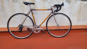 CBT Italia, Giovanni Tardivo