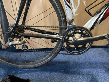 Used Ridley Pegasus 2006 Road & Gravel, Black — image 3 of 3